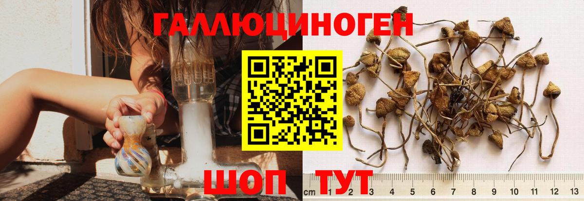 Мелеуз  купить наркотик  Вход с VPN  Галлюциногенные грибы Psilocybe 